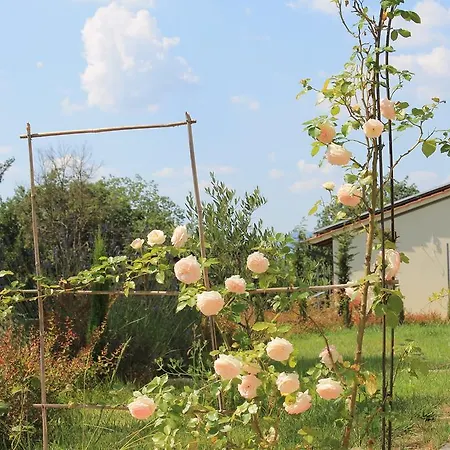 Dimore Di Poggianto Country house Pergine Valdarno