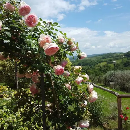 Dimore Di Poggianto Pergine Valdarno